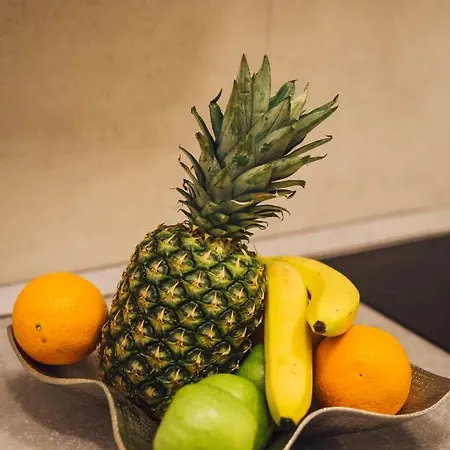 Porta Adriatica Сплит