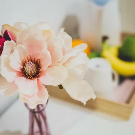 Couette-café Porta Adriatica